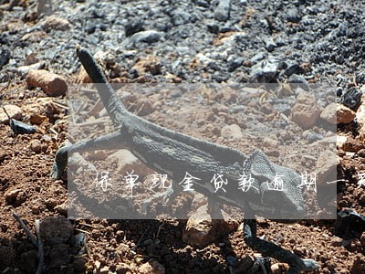 保单现金贷款逾期一天 保单现金贷款逾期一天