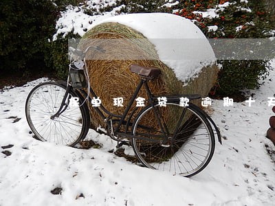 保单现金贷款逾期十天 保单现金贷款逾期十天
