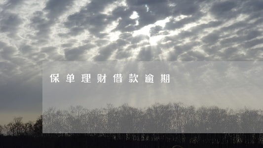 保单理财借款逾期 保单理财借款逾期