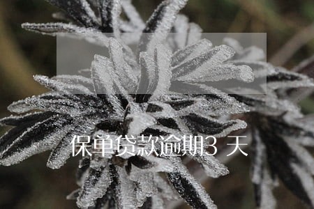 保单贷款逾期3天 保单贷款逾期3天