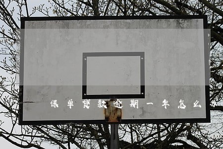 保单贷款逾期一年怎么办 保单贷款逾期一年怎么办