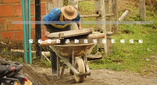 保单贷款逾期会不会影响保单 保单贷款逾期会不会影响保单