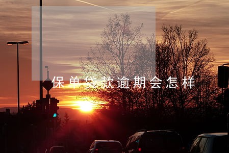 保单贷款逾期会怎样