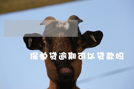保单贷逾期可以贷款吗 保单贷逾期可以贷款吗