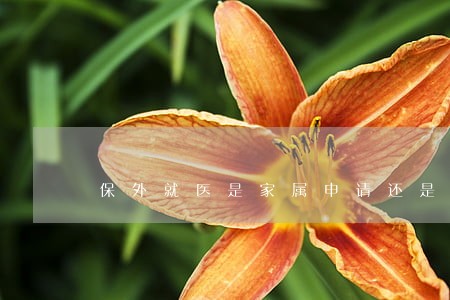 保外就医是家属申请还是监狱 保外就医是家属申请还是监狱