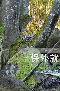 保外就医看守所流程 保外就医看守所流程
