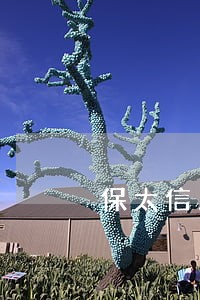 保太信用社逾期贷款名单 保太信用社逾期贷款名单