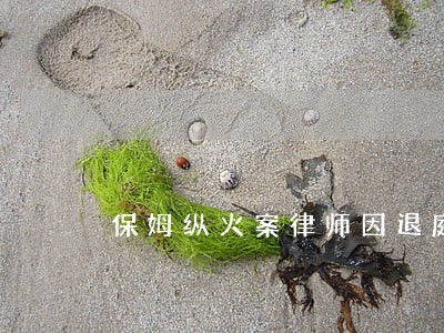 保姆纵火案律师因退庭可能获刑 保姆纵火案律师因退庭可能获刑