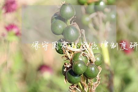 保守国家秘密法律制度研究 保守国家秘密法律制度研究