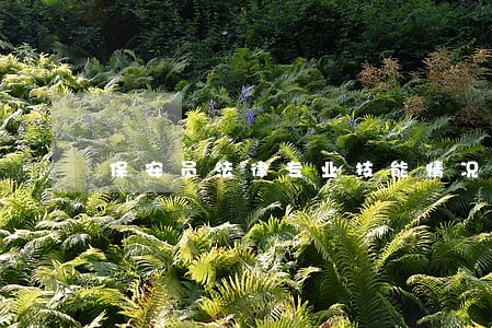 保安员法律专业技能情况