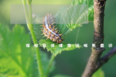 保安员法律常识服务意识培训教案 保安员法律常识服务意识培训教案