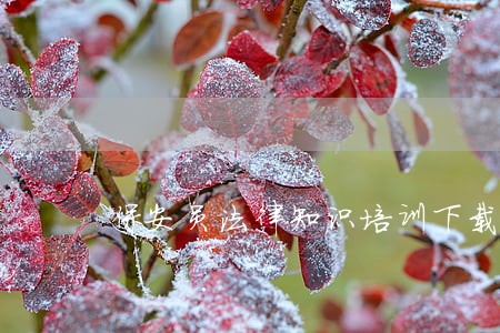 保安员法律知识培训下载 保安员法律知识培训下载