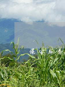 保安服务合同纠纷起诉书 保安服务合同纠纷起诉书