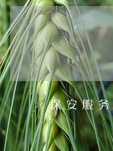 保安服务管理的六大条例 保安服务管理的六大条例