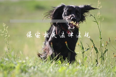 保安相关法律法规