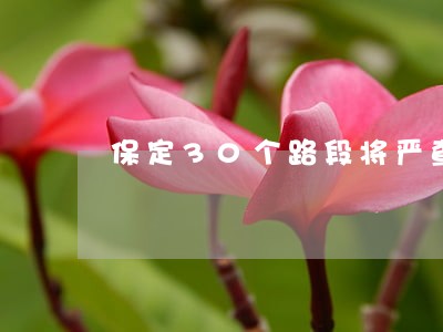 保定30个路段将严查违法停车 保定30个路段将严查违法停车