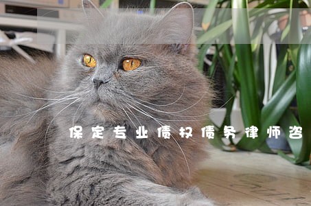 保定专业债权债务律师咨询 保定专业债权债务律师咨询