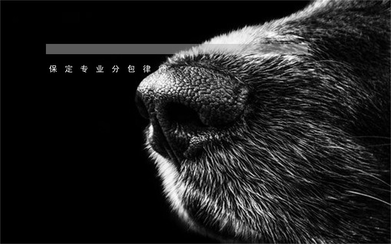 保定专业分包律师