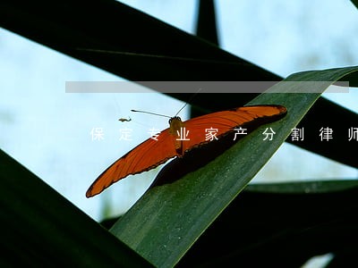 保定专业家产分割律师费用