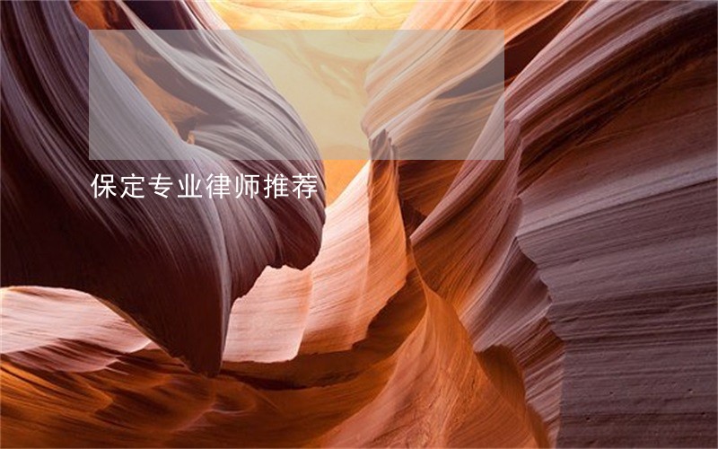 保定专业律师推荐