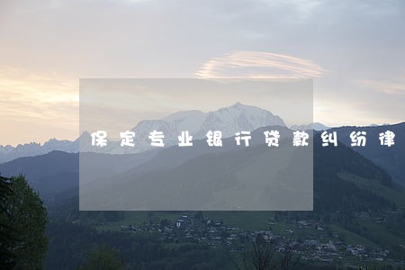 保定专业银行贷款纠纷律师 保定专业银行贷款纠纷律师