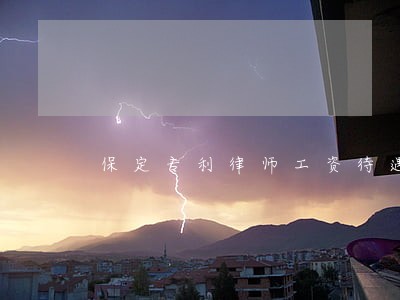 保定专利律师工资待遇怎么样 保定专利律师工资待遇怎么样