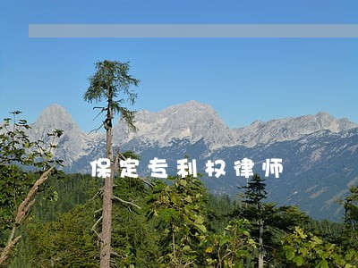 保定专利权律师 保定专利权律师