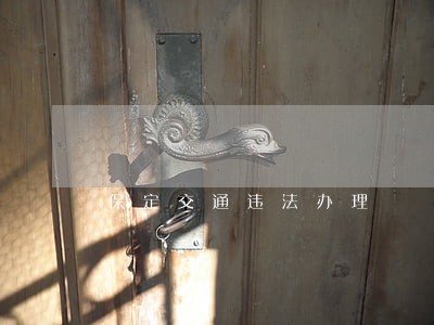 保定交通违法办理