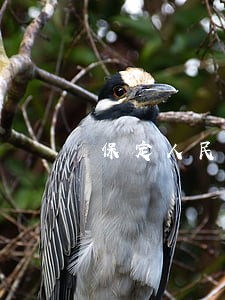 保定人民法院电话 保定人民法院电话