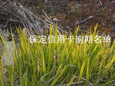 保定信用卡逾期名单 保定信用卡逾期名单