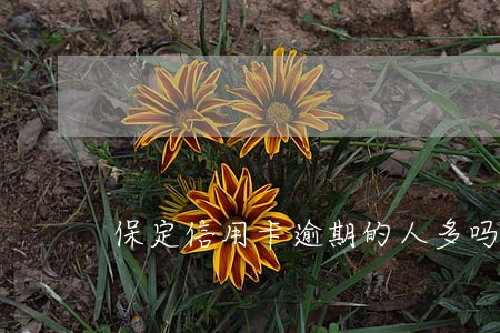 保定信用卡逾期的人多吗 保定信用卡逾期的人多吗