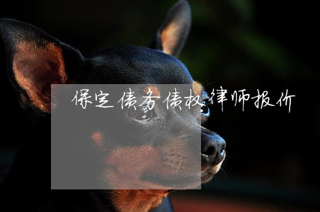 保定债务债权律师报价 保定债务债权律师报价