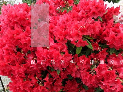 保定债务纠纷律师收费 保定债务纠纷律师收费
