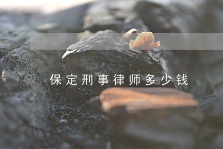 保定刑事律师多少钱