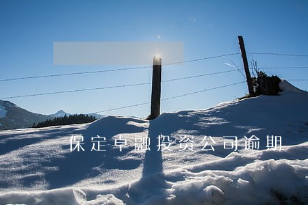 保定卓融投资公司逾期 保定卓融投资公司逾期