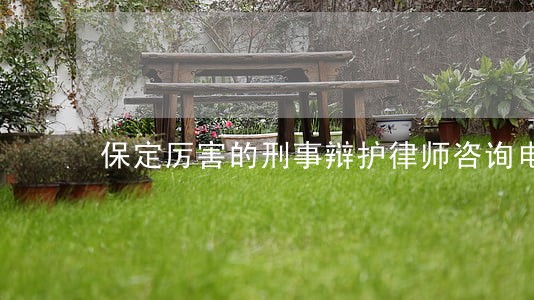 保定厉害的刑事辩护律师咨询电话 保定厉害的刑事辩护律师咨询电话