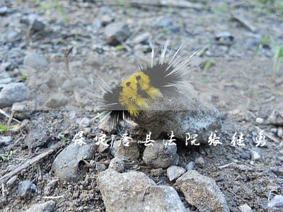 保定唐县法院张继勇 保定唐县法院张继勇