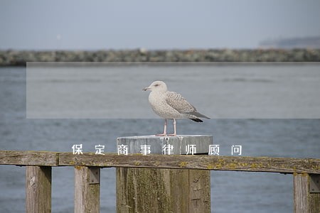 保定商事律师顾问 保定商事律师顾问