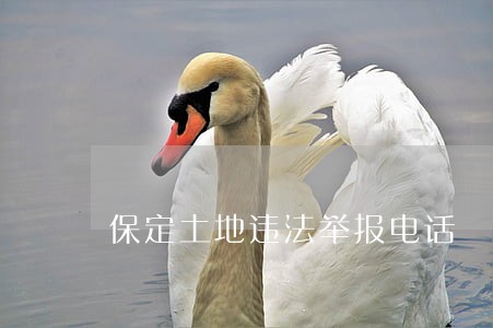 保定土地违法举报电话 保定土地违法举报电话