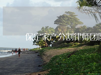 保定家产分割律师团队放心托付 保定家产分割律师团队放心托付