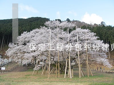 保定工程分包纠纷律师收费 保定工程分包纠纷律师收费