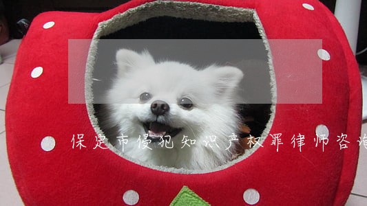保定市侵犯知识产权罪律师咨询 保定市侵犯知识产权罪律师咨询