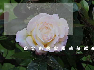 保定市国家司法考试研修基地 保定市国家司法考试研修基地