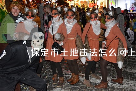 保定市土地违法怎么网上举报 保定市土地违法怎么网上举报