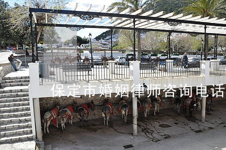保定市婚姻律师咨询电话 保定市婚姻律师咨询电话
