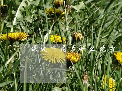 保定市局在什么地方 保定市局在什么地方