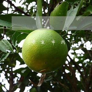 保定市找个债务律师在线咨询 保定市找个债务律师在线咨询