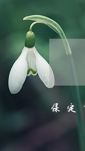 保定市找债权债务律师电话
