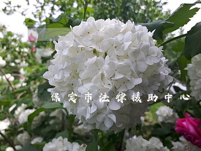 保定市法律援助中心 保定市法律援助中心