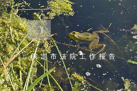 保定市法院工作报告 保定市法院工作报告